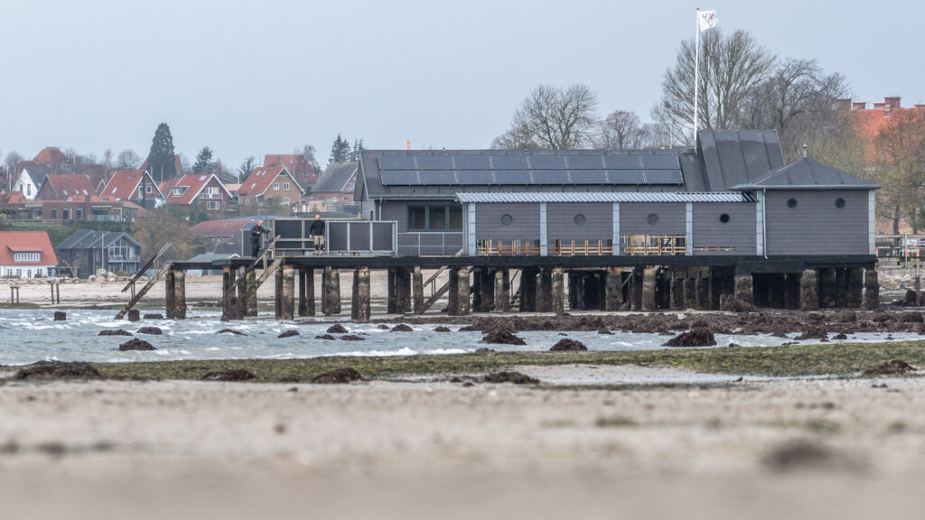 Lavvande. BACHS FOTO