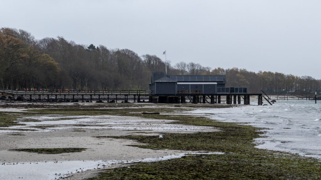 Lavvande. BACHS FOTO