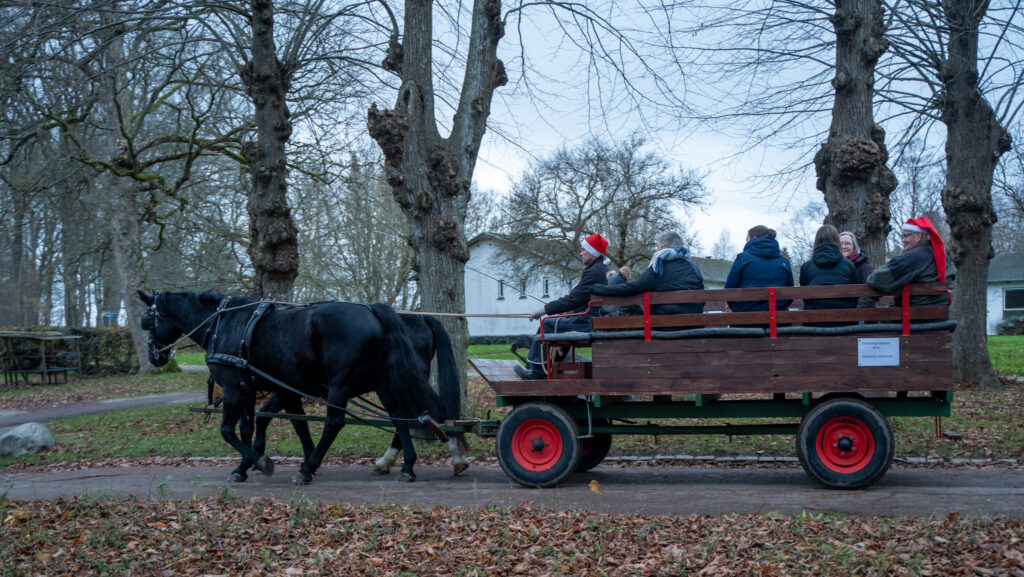 Jul i Augustenborg. BACHs FOTO