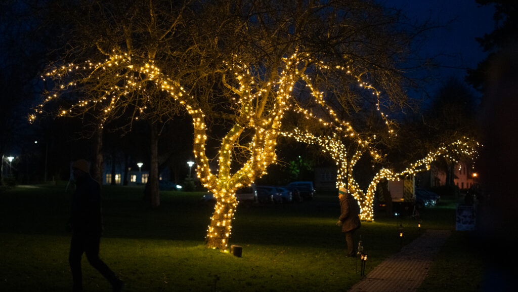 Jul i Augustenborg. BACHs FOTO