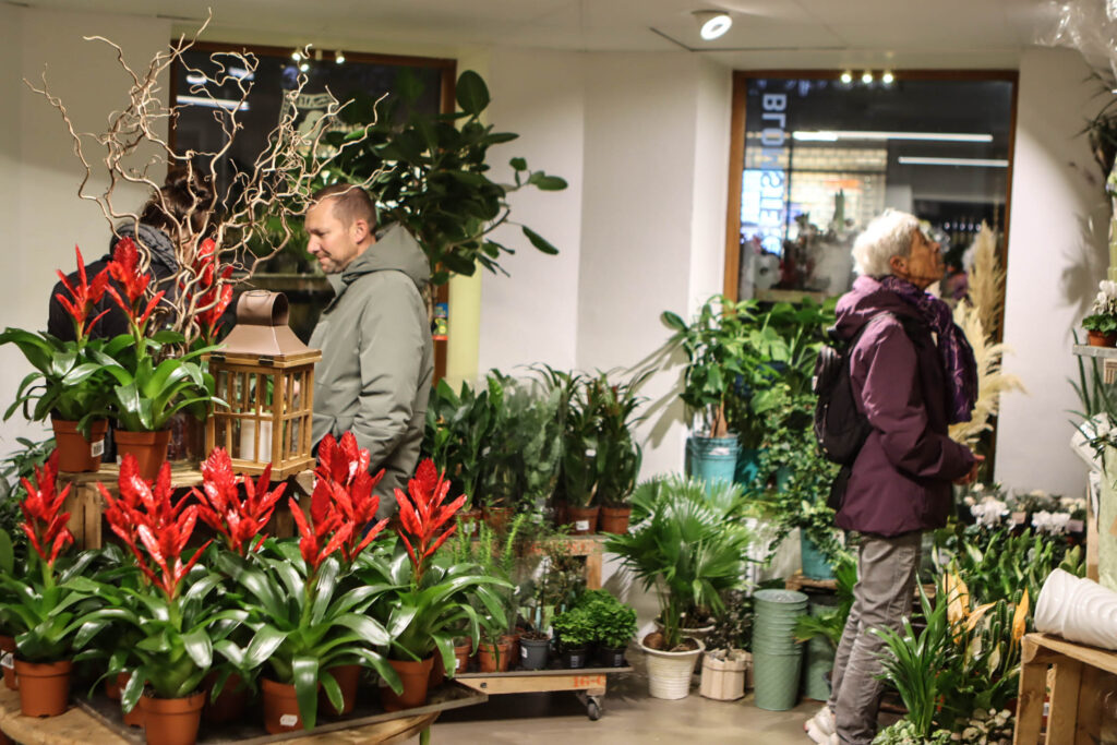 BALShjørnet. Foto: Ole Kæhler