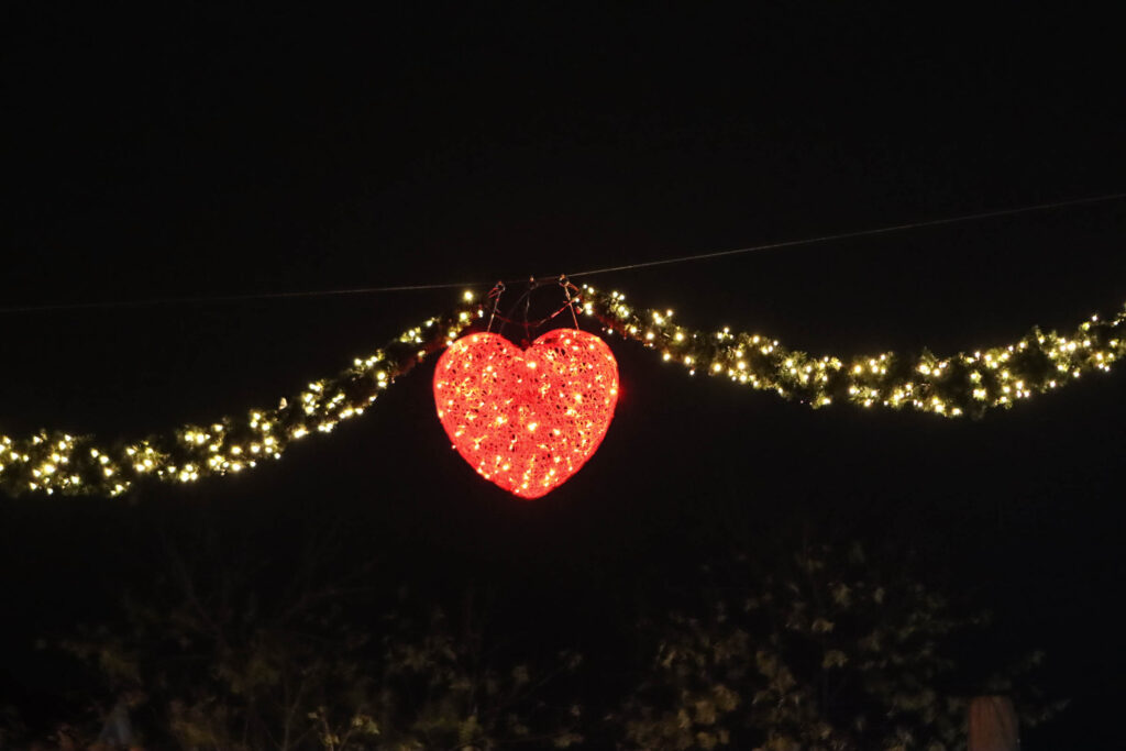 Optakt til jul. Foto: Ole Kæhler