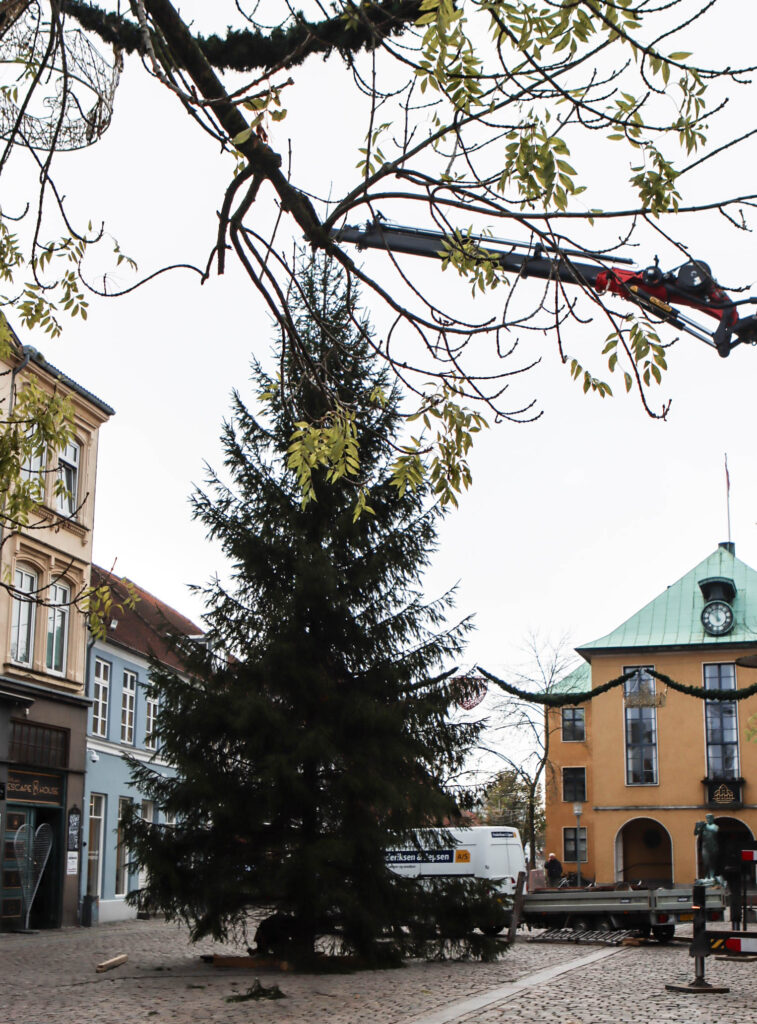 Juletræet. Foto: Ole Kæhler