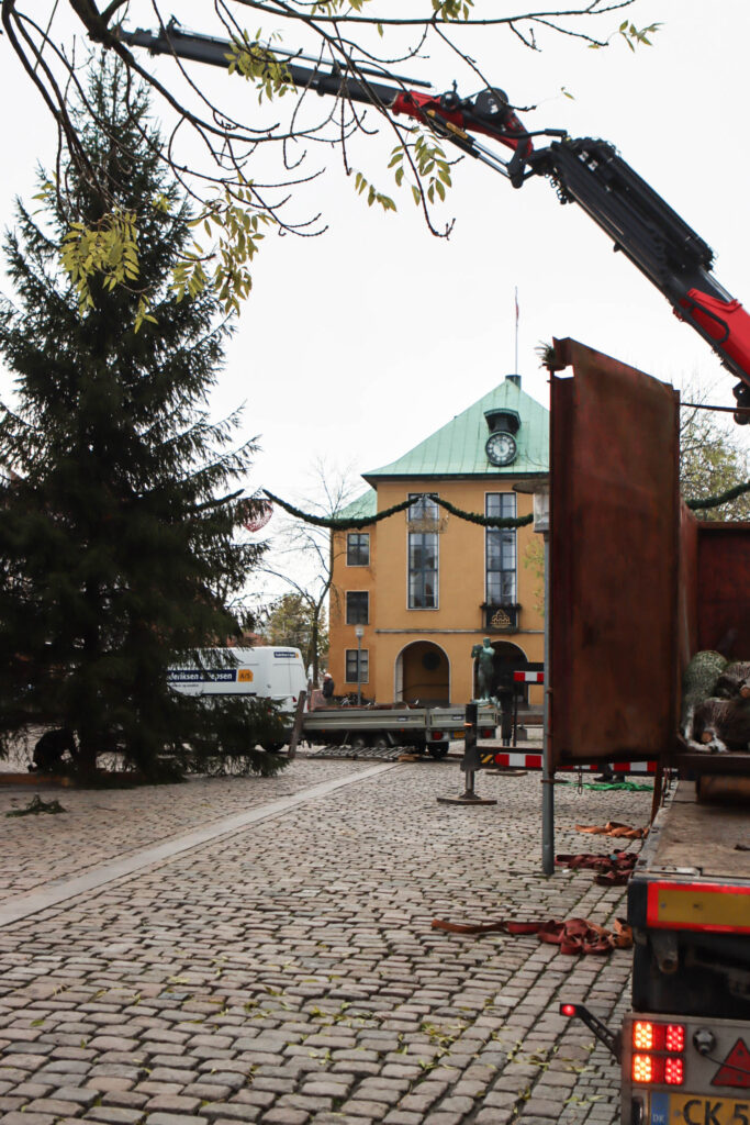 Juletræet. Foto: Ole Kæhler