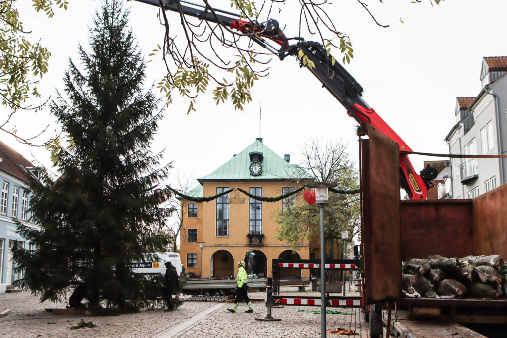 Juletræet. Foto: Ole Kæhler