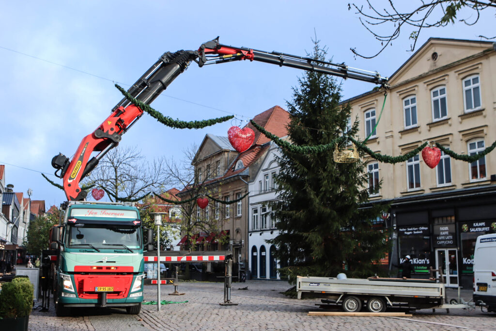 Juletræet. Foto: Ole Kæhler