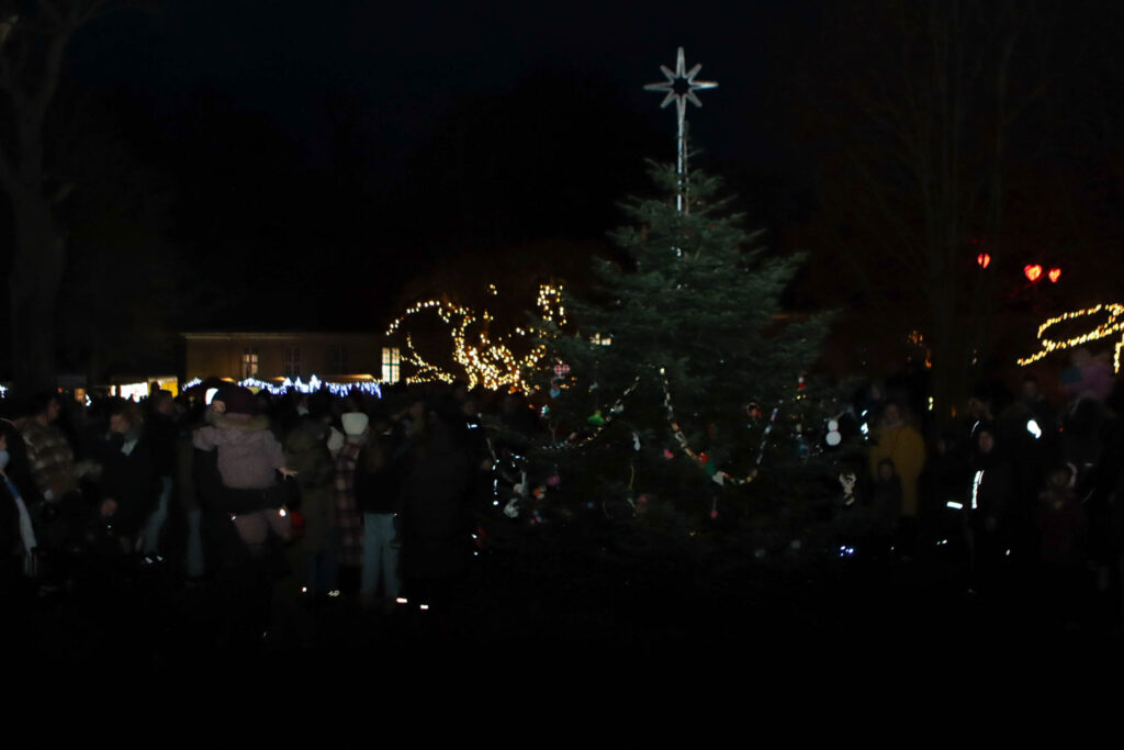 Jul i Augustenborg. BACHs FOTO