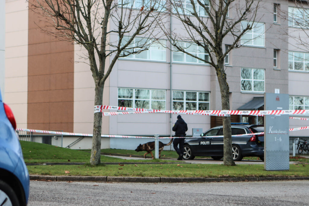 Vold på Koralvej. Foto: Ole Kæhler