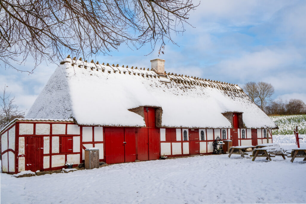 Vinter. BACHs FOTO