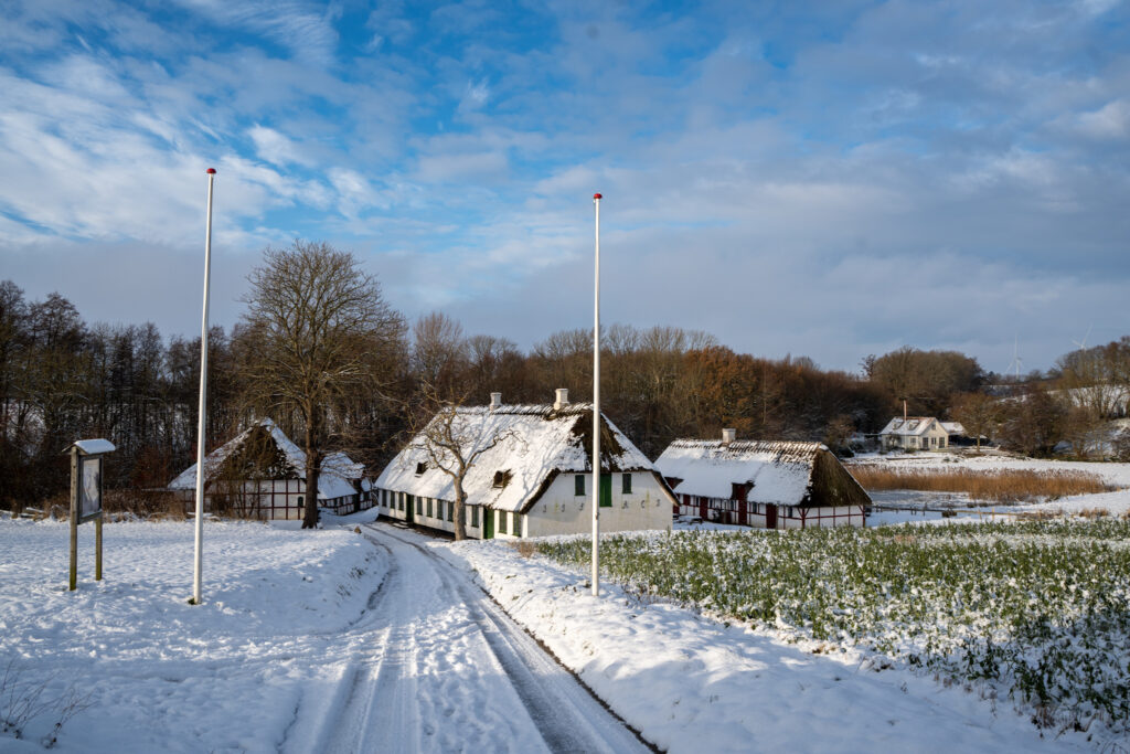 Vinter. BACHs FOTO