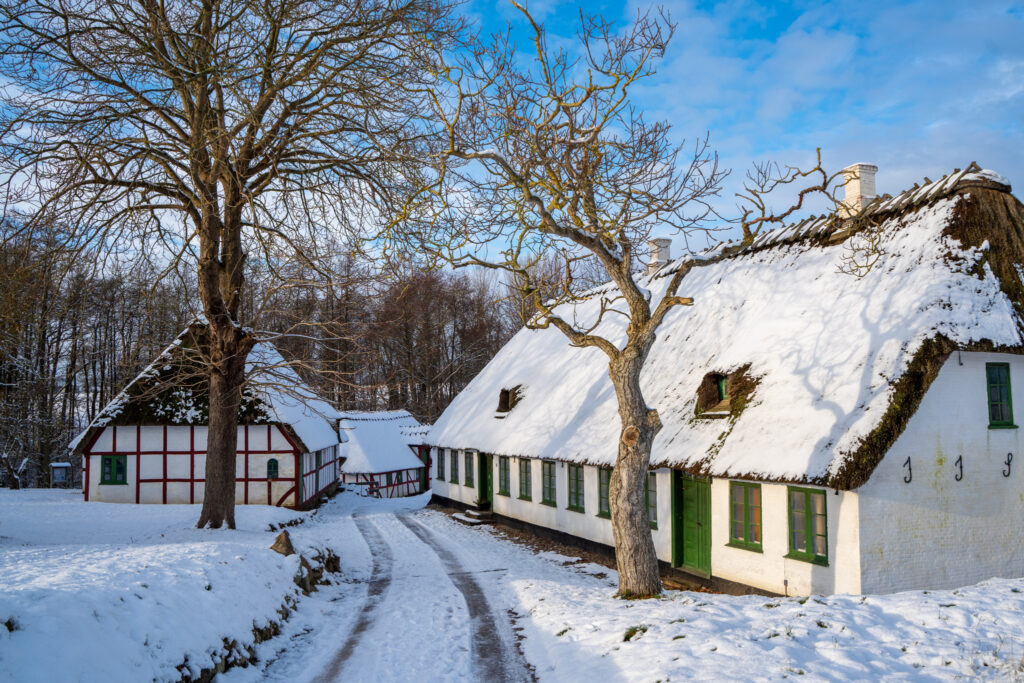 Vinter. BACHs FOTO