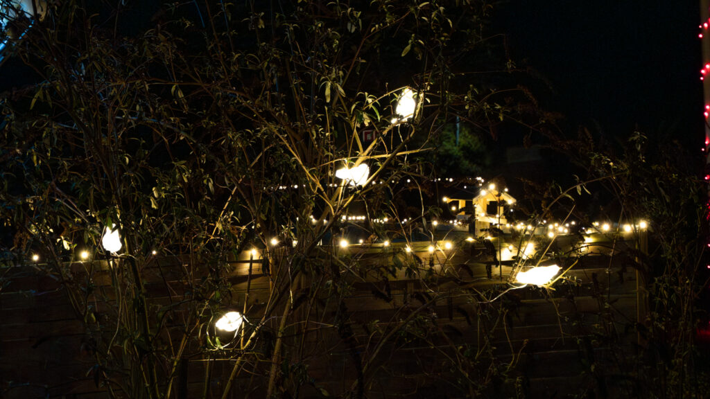 Julestemning. BACHs FOTO