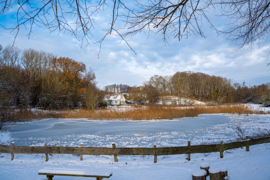 Vinter. BACHs FOTO