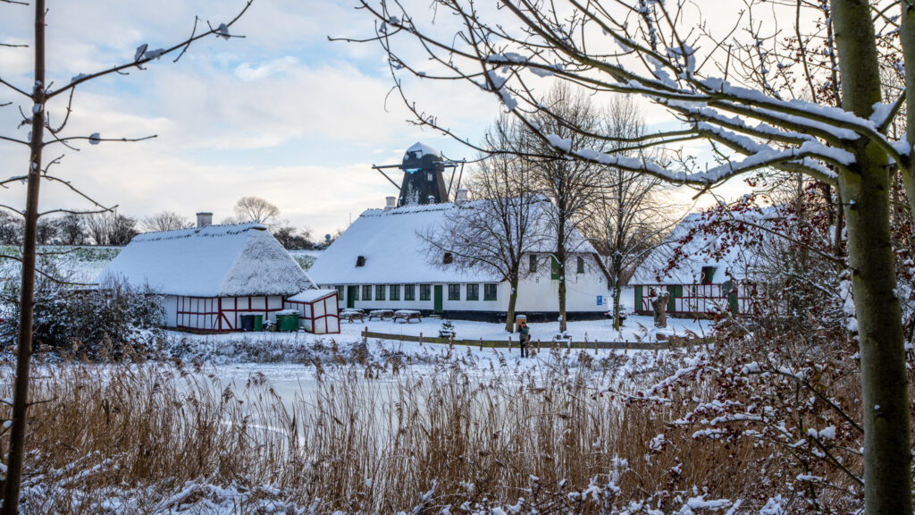 Vinter. BACHs FOTO