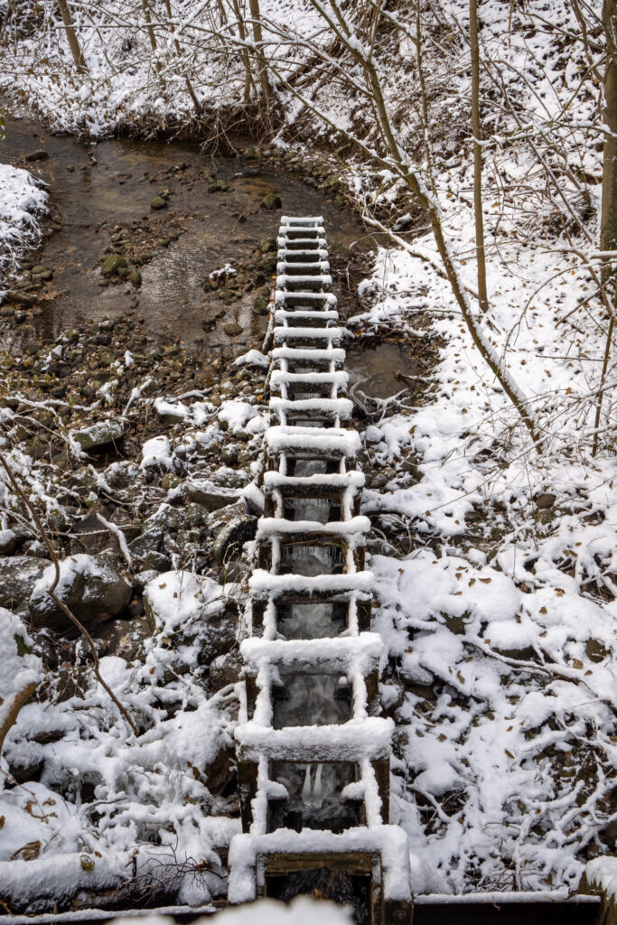 Vinter. BACHs FOTO