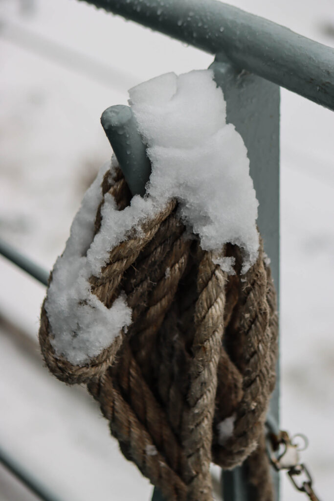 Thetis. Foto: Ole Kæhler