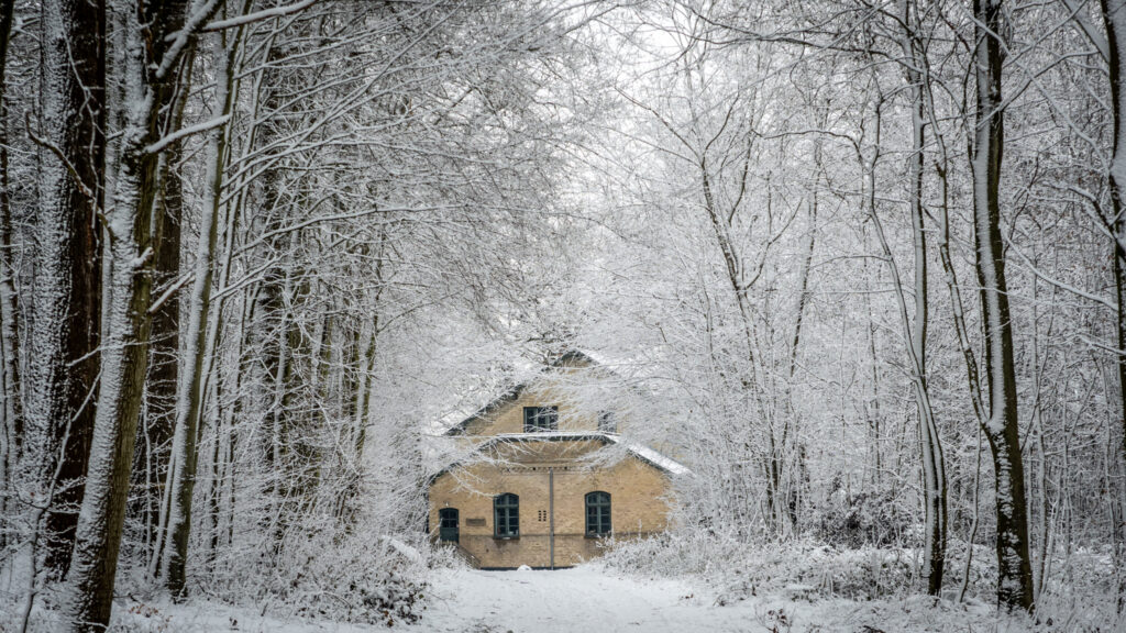 Vintervejr. Bachs Foto