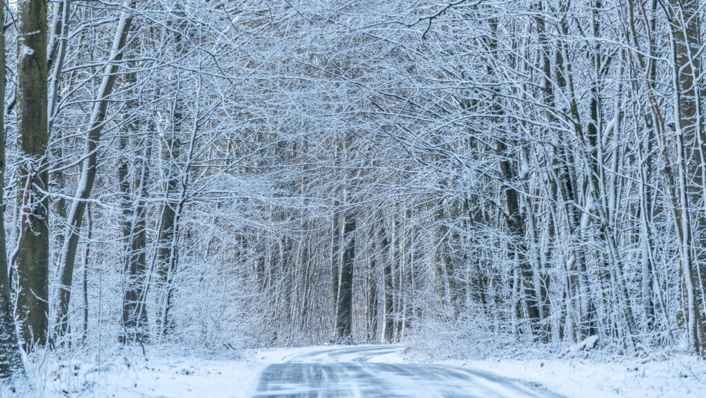 Vintervejr. Bachs Foto