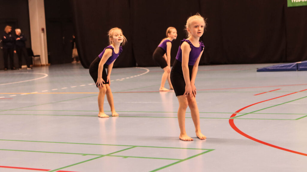 DIU Gymnastik. Foto: Ole Kæhler