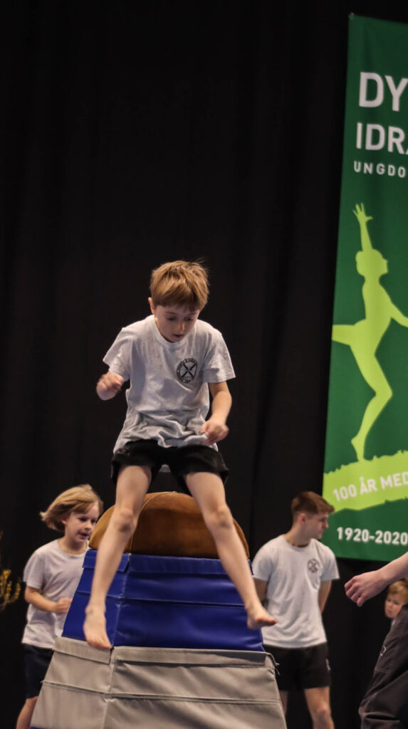 DIU Gymnastik. Foto: Ole Kæhler