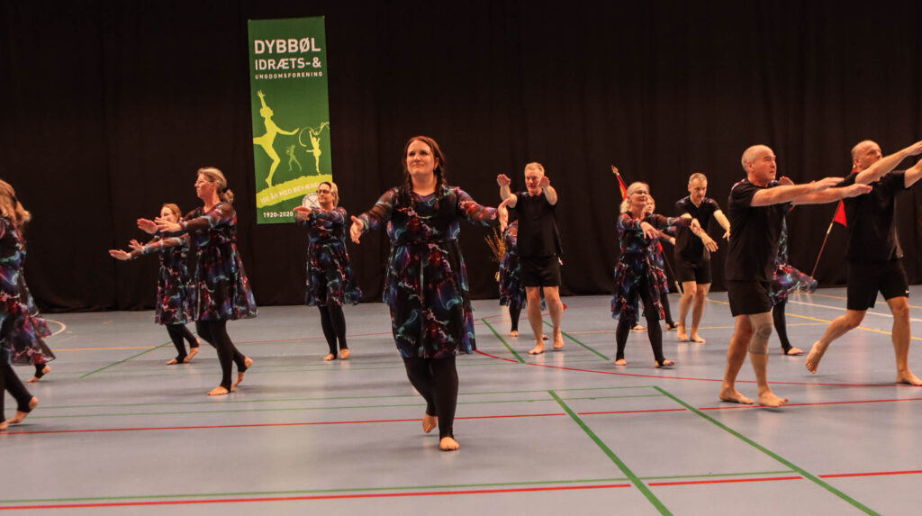DIU Gymnastik. Foto: Ole Kæhler