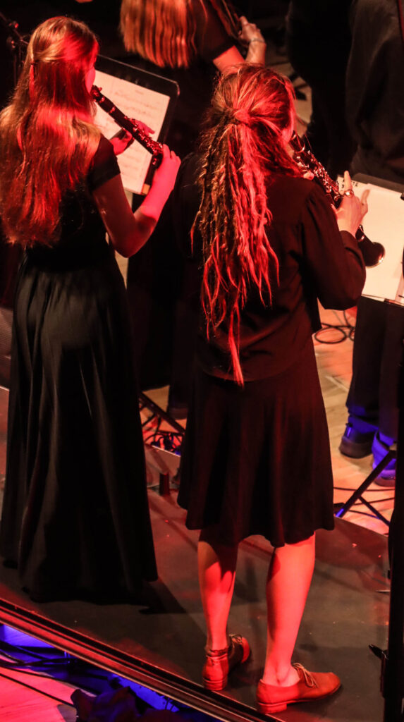 folkBALTICA. Foto: Ole Kæhler