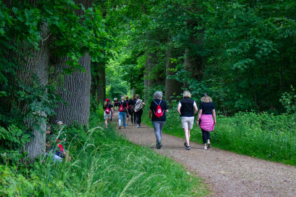 Ladywalk. Bachs Foto