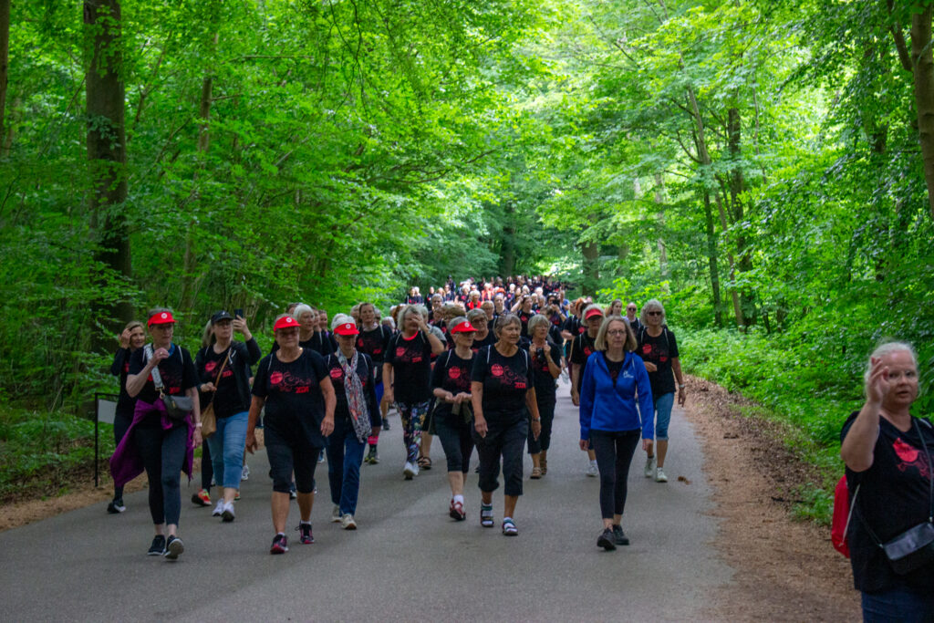 Ladywalk. Bachs Foto