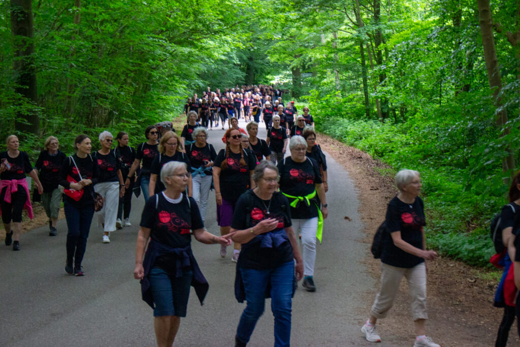 Ladywalk. Bachs Foto