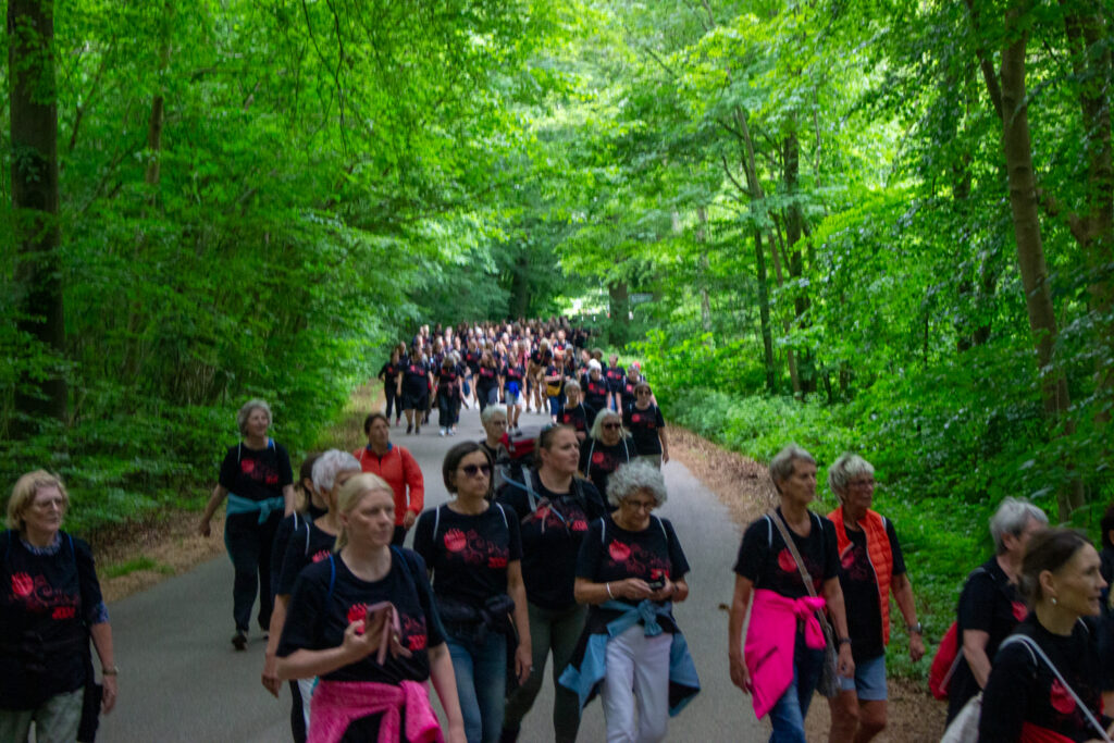 Ladywalk. Bachs Foto