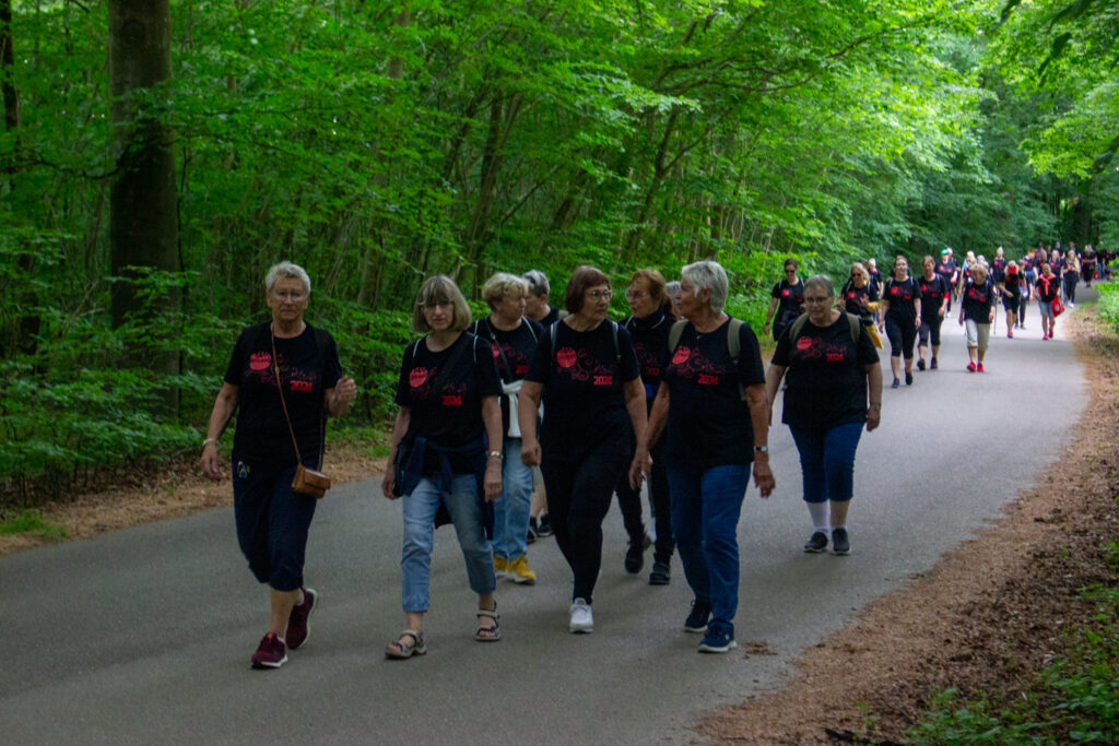 Ladywalk. Bachs Foto