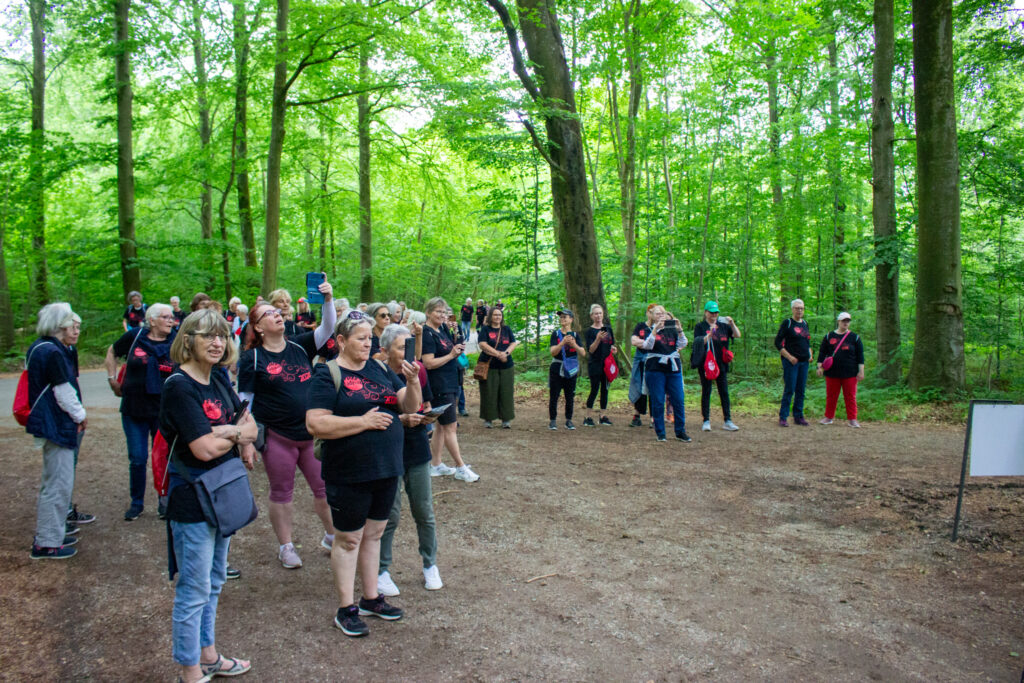 Ladywalk. Bachs Foto