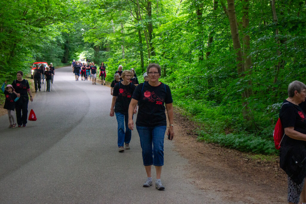 Ladywalk. Bachs Foto