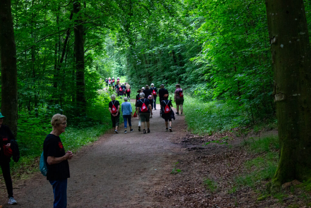 Ladywalk. Bachs Foto