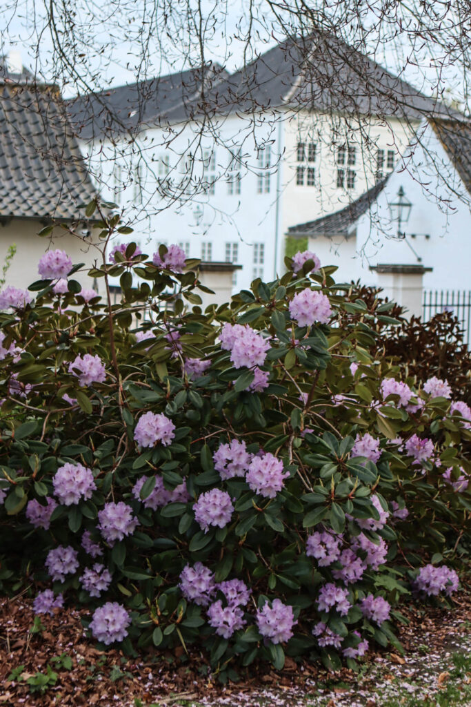 Slotshave. Foto: Ole Kæhler