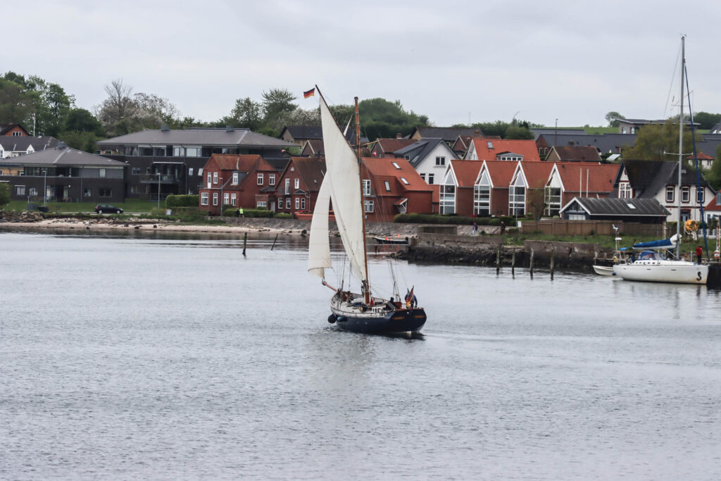 Sejlskibe. Foto: Ole Kæhler