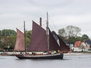 Sejlskibe. Foto: Ole Kæhler