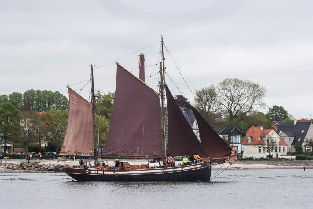 Sejlskibe. Foto: Ole Kæhler