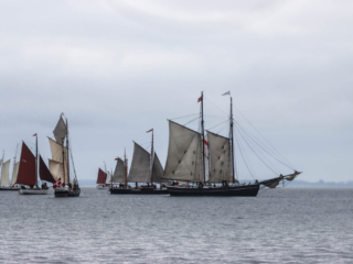Sejlskibe. Foto: Ole Kæhler