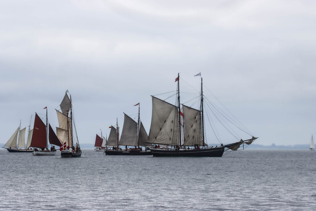 Sejlskibe. Foto: Ole Kæhler