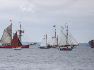 Sejlskibe. Foto: Ole Kæhler