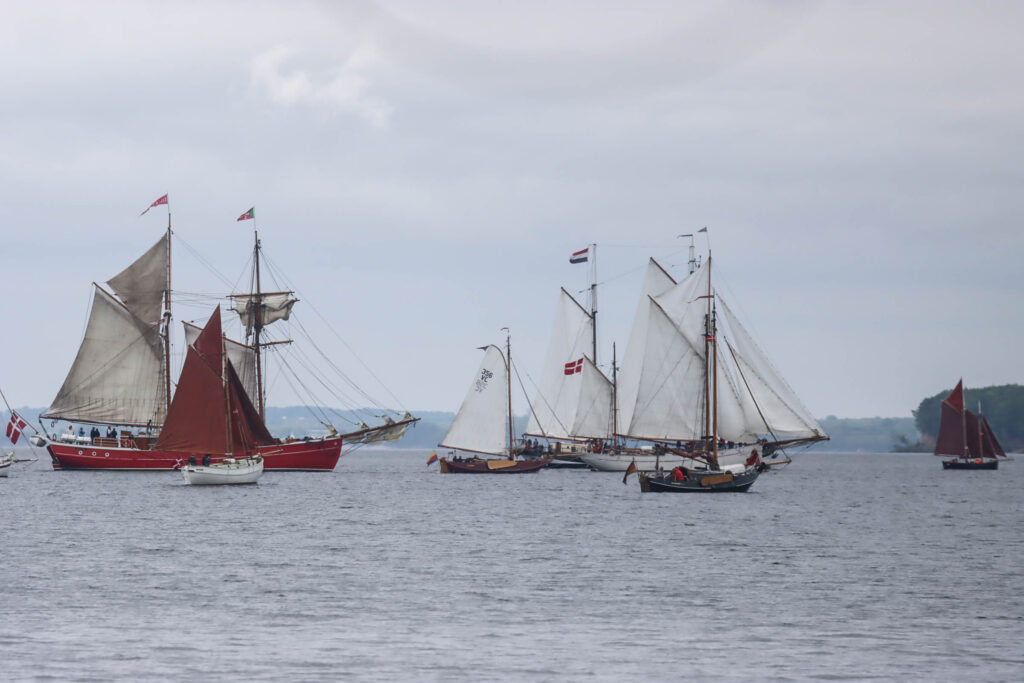 Sejlskibe. Foto: Ole Kæhler