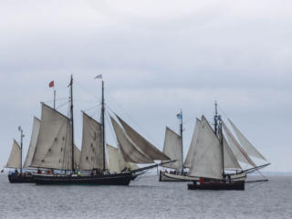 Sejlskibe. Foto: Ole Kæhler