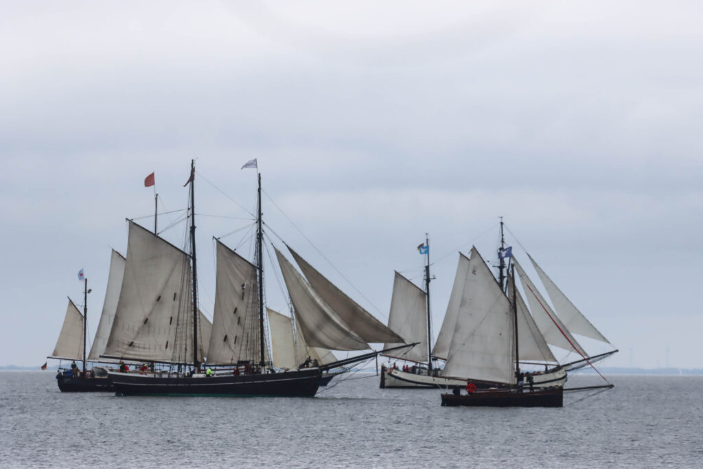 Sejlskibe. Foto: Ole Kæhler