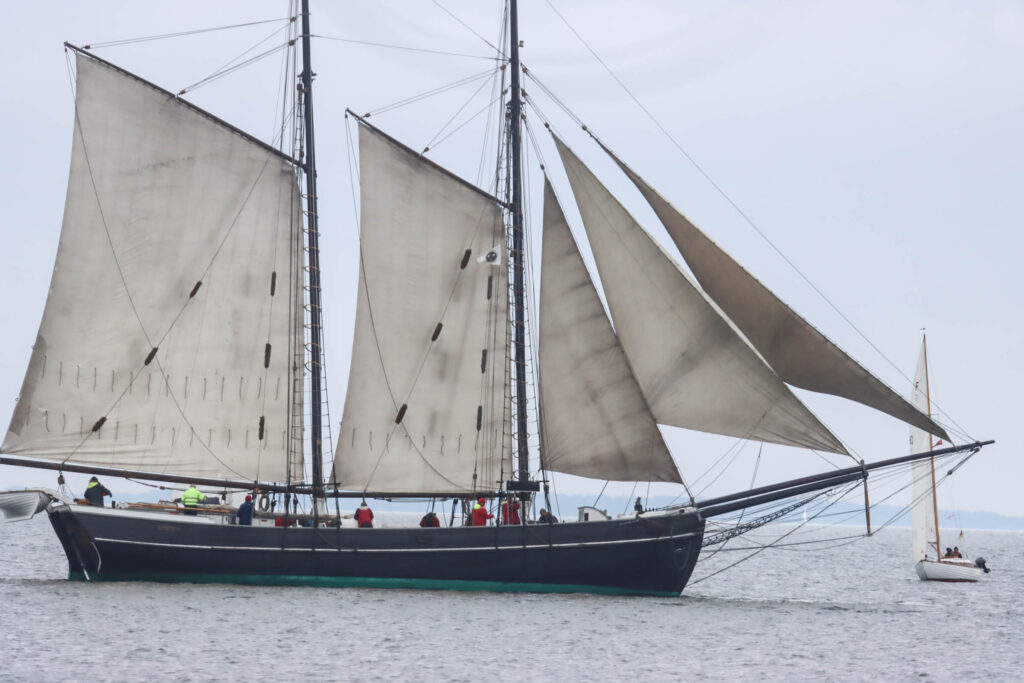 Sejlskibe. Foto: Ole Kæhler