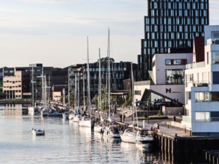 Havnen: Foto: Ole Kæhler