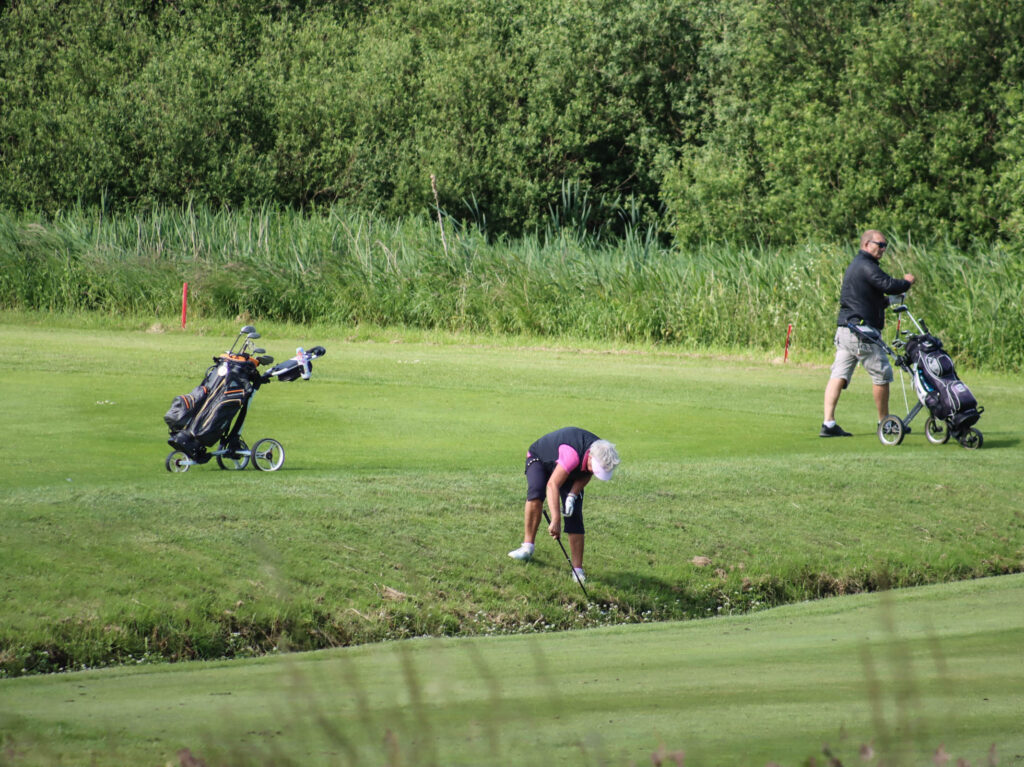 Lyserød golf. Foto: Ole Kæhler