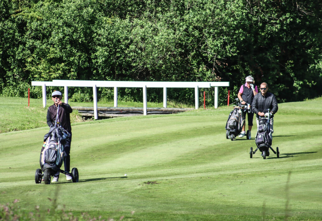Lyserød golf. Foto: Ole Kæhler