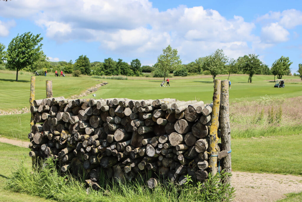 Lyserød golf. Foto: Ole Kæhler