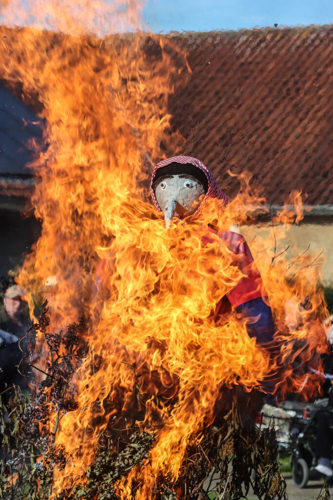 Tidlig Skt. Hans. Foto: Ole Kæhler